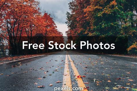 fotos kostenlos|Free Stock Photos, Royalty Free Stock Images & Copyright Free。